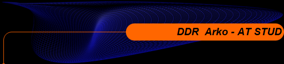 DDR  Arko - AT STUD